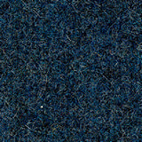 Pugirg Fenice 1235.jpg